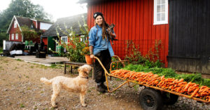Angelikas Gård - Angelika och Valle med vagnen fylld av morötter.