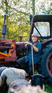 Angelika med sina får vid bästa traktorn på Angelikas gård på Österlen
