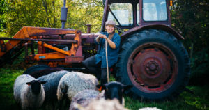 Angelika med sina får vid bästa traktorn på Angelikas gård på Österlen